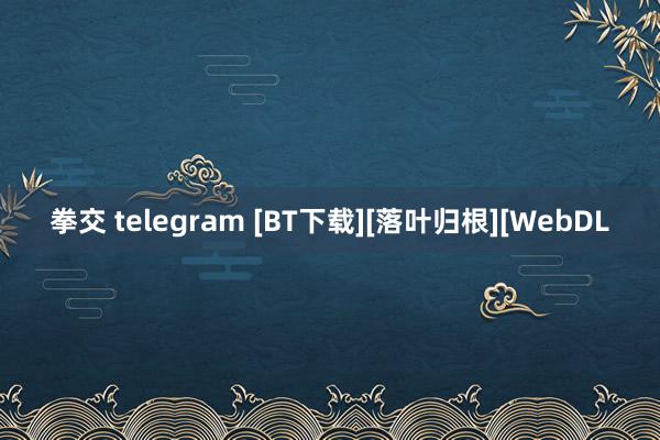 拳交 telegram [BT下载][落叶归根][WebDL